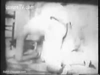 Black and white vintage video of Zoophilia